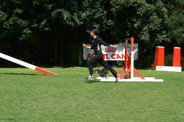agility 2011-07-24